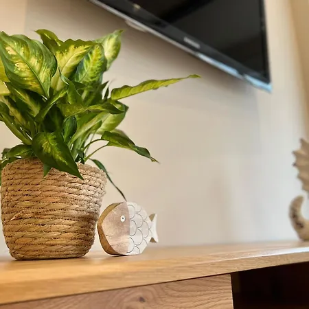 El Rincon De San Lorenzo-subirats Apartment Gijon