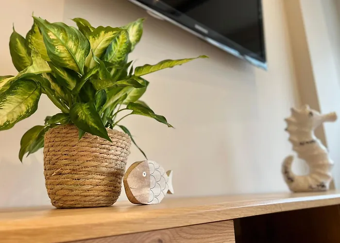 El Rincón De San Lorenzo-subirats Apartamento Gijón