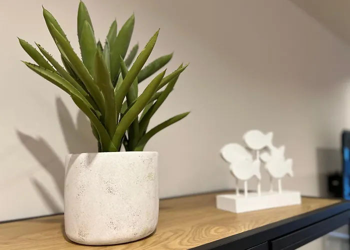 Apartman El Rincon De San Lorenzo-subirats Gijón